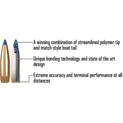 NORMA .30-06 Bondstrike 11,7g / 180gr