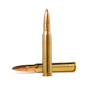 NORMA .30-06, 200gr ORYX